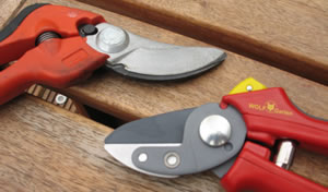 Anvil & Bypass secateurs